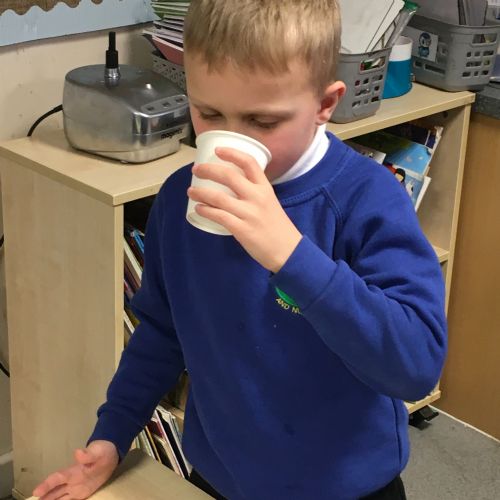 D&T Healthy Smoothies